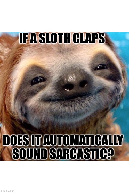 Thought of the day | IF A SLOTH CLAPS; DOES IT AUTOMATICALLY SOUND SARCASTIC? | image tagged in funny,funny animals,cheesy | made w/ Imgflip meme maker