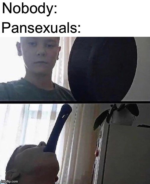 Wanted to post this in the LGBTQ stream but them bitches banned me for no reason | Nobody:; Pansexuals: | made w/ Imgflip meme maker