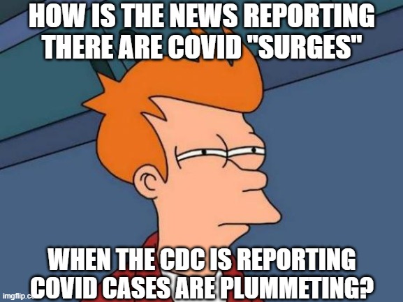 Futurama Fry Meme | HOW IS THE NEWS REPORTING THERE ARE COVID "SURGES"; WHEN THE CDC IS REPORTING COVID CASES ARE PLUMMETING? | image tagged in memes,futurama fry | made w/ Imgflip meme maker