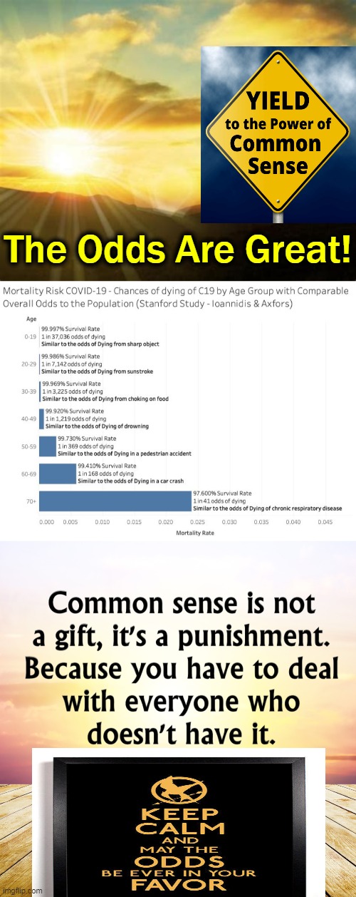 This Country Needs a Department of Common Sense | The Odds Are Great! | image tagged in politics,liberals vs conservatives,conservative logic,common sense,not common core,odds are great | made w/ Imgflip meme maker