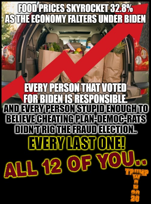 Props to Dtuck for the original meme.. | EVERY LAST ONE! AND EVERY PERSON STUPID ENOUGH TO
BELIEVE CHEATING PLAN-DEMOC-RATS DIDN'T RIG THE FRAUD ELECTION.. ALL 12 OF YOU.. TRUMP
 W
 O
 N
 20
 20 | image tagged in voter fraud,twitter,scumbags,the end,legendary incompetence | made w/ Imgflip meme maker