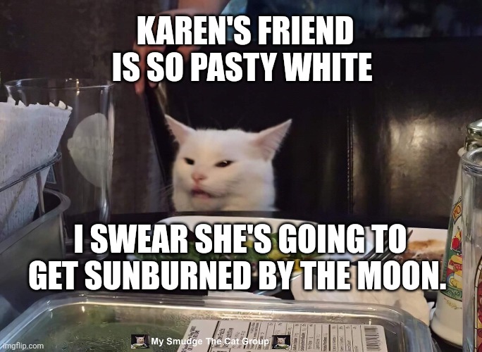 KAREN'S FRIEND IS SO PASTY WHITE; I SWEAR SHE'S GOING TO GET SUNBURNED BY THE MOON. | image tagged in smudge the cat | made w/ Imgflip meme maker