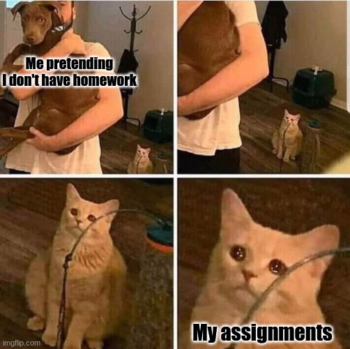 Ah, the impending doom. | Me pretending I don't have homework; My assignments | image tagged in cat left out crying,homework,ignore,bliss | made w/ Imgflip meme maker