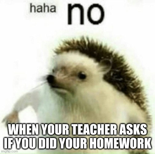 Haha no |  WHEN YOUR TEACHER ASKS IF YOU DID YOUR HOMEWORK | image tagged in hahano | made w/ Imgflip meme maker