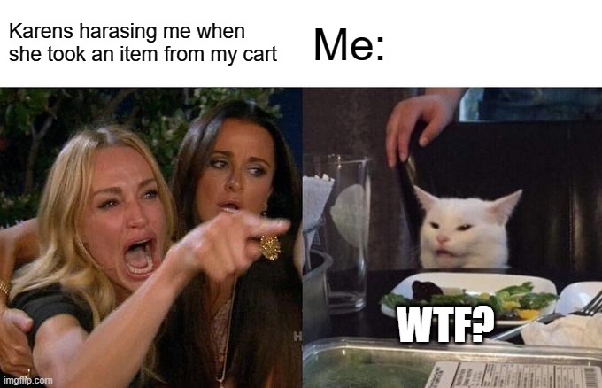 Woman Yelling At Cat | Karens harasing me when she took an item from my cart; Me:; WTF? | image tagged in memes,woman yelling at cat | made w/ Imgflip meme maker
