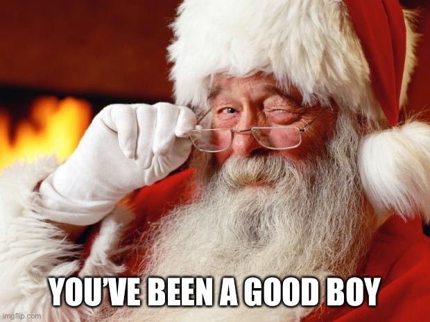 santa | YOU’VE BEEN A GOOD BOY | image tagged in santa | made w/ Imgflip meme maker