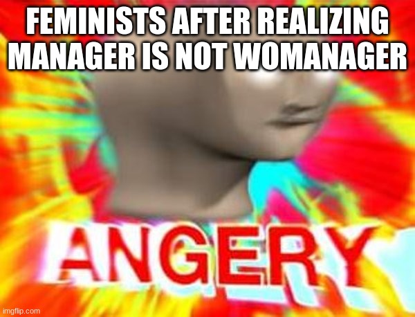 Surreal Angery |  FEMINISTS AFTER REALIZING MANAGER IS NOT WOMANAGER | image tagged in surreal angery | made w/ Imgflip meme maker