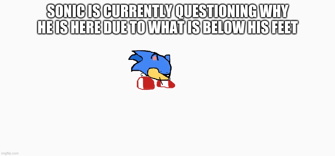 3rd time doing this B) | SONIC IS CURRENTLY QUESTIONING WHY HE IS HERE DUE TO WHAT IS BELOW HIS FEET | made w/ Imgflip meme maker