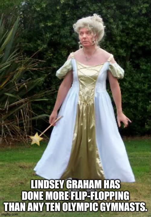 Lindsey Graham fairy | LINDSEY GRAHAM HAS DONE MORE FLIP-FLOPPING THAN ANY TEN OLYMPIC GYMNASTS. | image tagged in lindsey graham fairy | made w/ Imgflip meme maker
