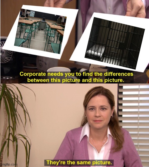 They're The Same Picture | image tagged in memes,they're the same picture,school,jail | made w/ Imgflip meme maker