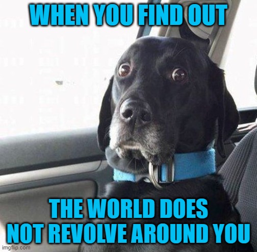 suprised dog | WHEN YOU FIND OUT; THE WORLD DOES NOT REVOLVE AROUND YOU | image tagged in suprised dog | made w/ Imgflip meme maker