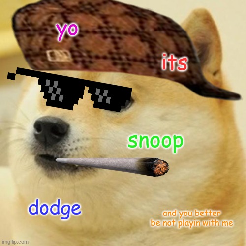 snoop doodge | yo; its; snoop; dodge; and you better be not playin with me | image tagged in memes,doge | made w/ Imgflip meme maker