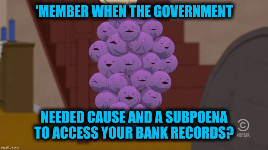 I 'member | 'MEMBER WHEN THE GOVERNMENT; NEEDED CAUSE AND A SUBPOENA TO ACCESS YOUR BANK RECORDS? | image tagged in memes,member berries,government corruption | made w/ Imgflip meme maker