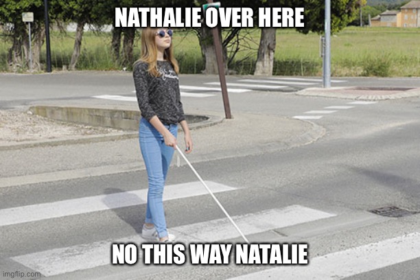 which way should she go? | NATHALIE OVER HERE; NO THIS WAY NATALIE | image tagged in gps,whistle,bridge,handsfree,pepsi or coke,pizza or pizza | made w/ Imgflip meme maker
