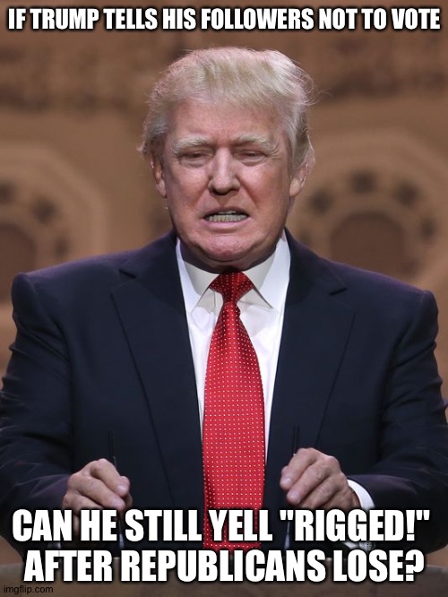 Donald Trump | IF TRUMP TELLS HIS FOLLOWERS NOT TO VOTE CAN HE STILL YELL "RIGGED!" 
AFTER REPUBLICANS LOSE? | image tagged in donald trump | made w/ Imgflip meme maker