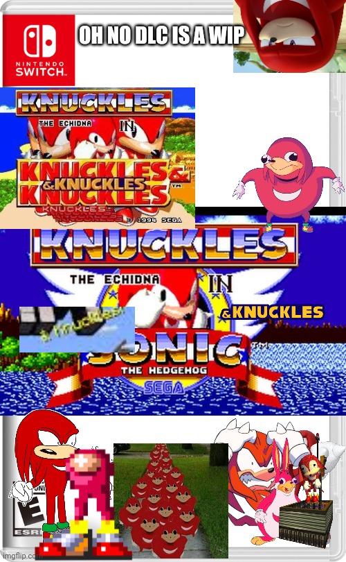 R |  OH NO DLC IS A WIP | image tagged in knuckles,do you know da wae,ugandan knuckles | made w/ Imgflip meme maker