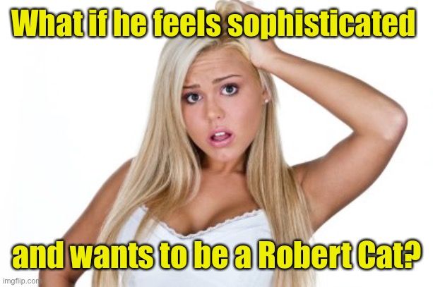 Dumb Blonde | What if he feels sophisticated and wants to be a Robert Cat? | image tagged in dumb blonde | made w/ Imgflip meme maker