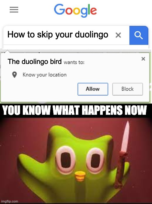 How to skip your duolingo; The duolingo bird; YOU KNOW WHAT HAPPENS NOW | image tagged in wants to know your location | made w/ Imgflip meme maker