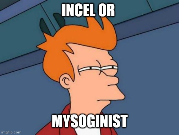 Futurama Fry Meme | INCEL OR MYSOGINIST | image tagged in memes,futurama fry | made w/ Imgflip meme maker