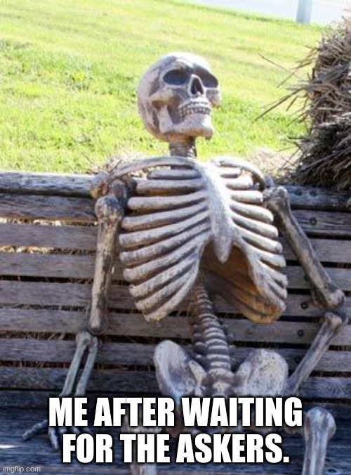 Waiting Skeleton | ME AFTER WAITING FOR THE ASKERS. | image tagged in memes,waiting skeleton | made w/ Imgflip meme maker