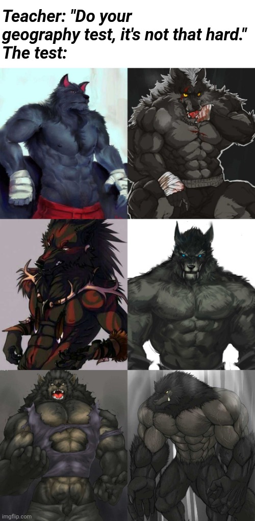 Male furries will understand the joke, it just needs to take effect. |  Teacher: "Do your geography test, it's not that hard."
The test: | image tagged in werewolf,furry,bara,spooktober,happy halloween,memes | made w/ Imgflip meme maker