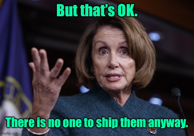 Good old Nancy Pelosi | But that’s OK. There is no one to ship them anyway. | image tagged in good old nancy pelosi | made w/ Imgflip meme maker