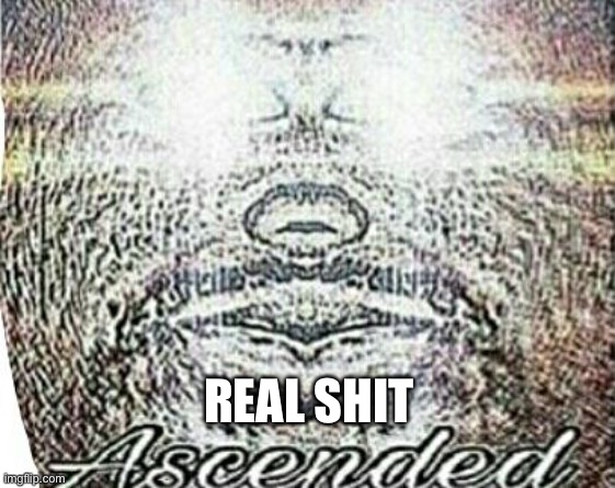 Real Shit Ascended | REAL SHIT | image tagged in real shit ascended | made w/ Imgflip meme maker