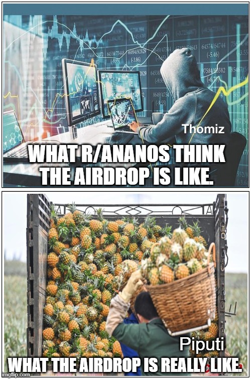 ananos | WHAT R/ANANOS THINK THE AIRDROP IS LIKE. Piputi; WHAT THE AIRDROP IS REALLY LIKE. | image tagged in memes,blank comic panel 1x2 | made w/ Imgflip meme maker