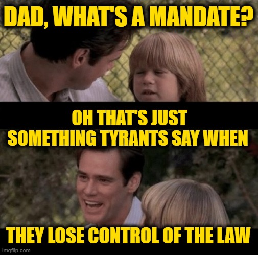 Euphemisms | DAD, WHAT'S A MANDATE? OH THAT'S JUST SOMETHING TYRANTS SAY WHEN; THEY LOSE CONTROL OF THE LAW | image tagged in liar liar my teacher says | made w/ Imgflip meme maker