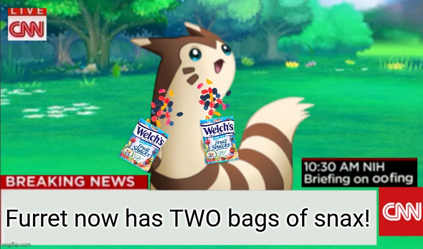 Important furret news! | Furret now has TWO bags of snax! | image tagged in breaking news furret,furret,news,pokemon | made w/ Imgflip meme maker
