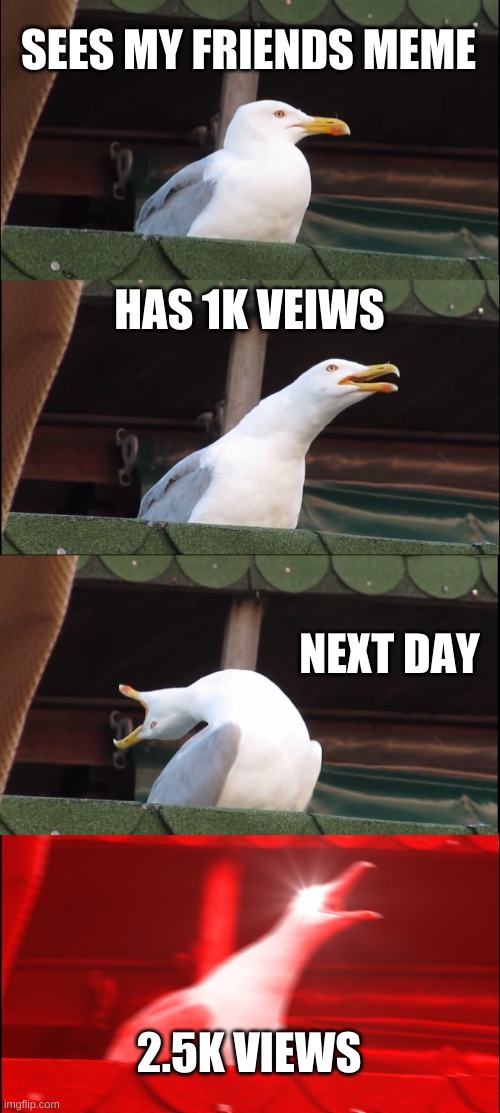 SUSYHUSKY This Is For You | SEES MY FRIENDS MEME; HAS 1K VEIWS; NEXT DAY; 2.5K VIEWS | image tagged in memes,inhaling seagull | made w/ Imgflip meme maker