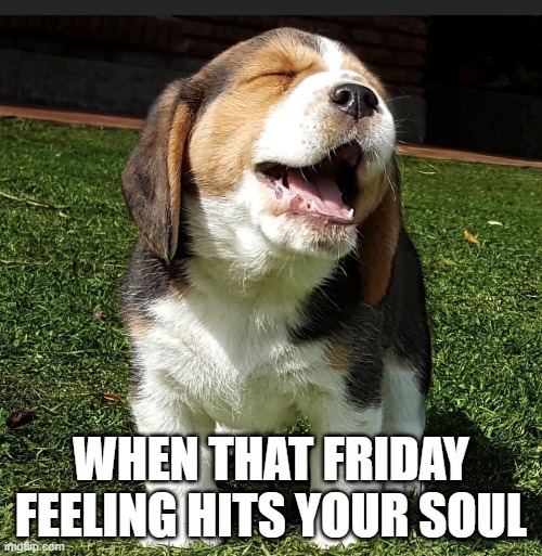 WHEN THAT FRIDAY FEELING HITS YOUR SOUL | image tagged in fun | made w/ Imgflip meme maker
