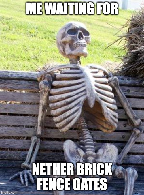 Waiting Skeleton | ME WAITING FOR; NETHER BRICK FENCE GATES | image tagged in memes,waiting skeleton | made w/ Imgflip meme maker