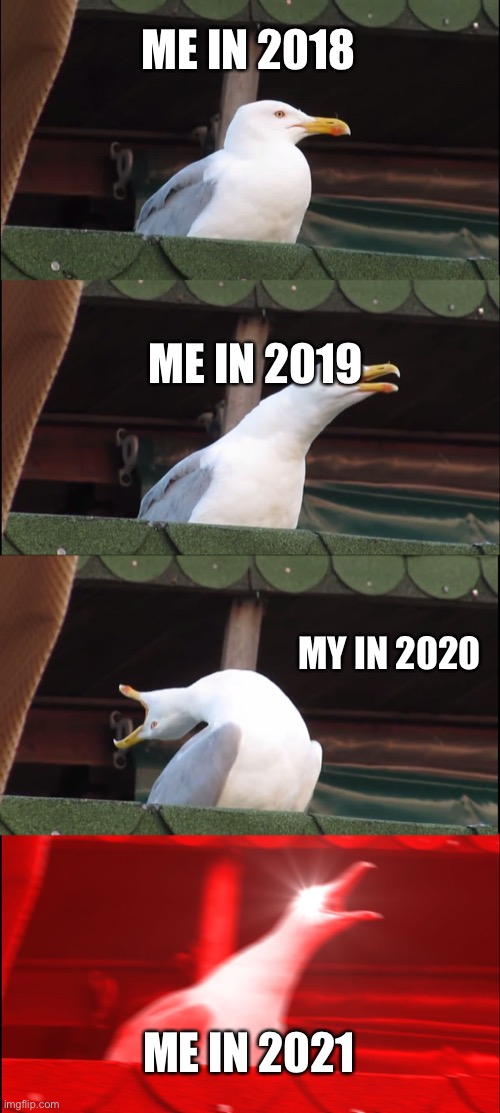 Inhaling Seagull | ME IN 2018; ME IN 2019; MY IN 2020; ME IN 2021 | image tagged in memes,inhaling seagull | made w/ Imgflip meme maker