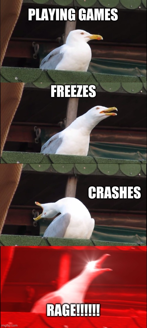 every gamer be like |  PLAYING GAMES; FREEZES; CRASHES; RAGE!!!!!! | image tagged in memes,inhaling seagull | made w/ Imgflip meme maker