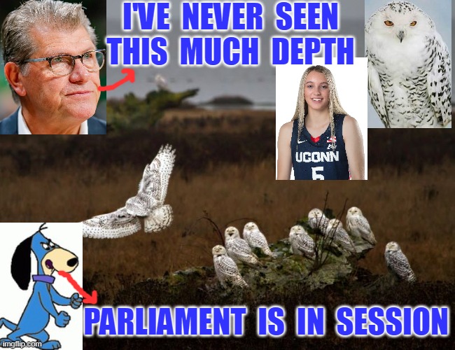 I'VE  NEVER  SEEN
THIS  MUCH  DEPTH; PARLIAMENT  IS  IN  SESSION | made w/ Imgflip meme maker