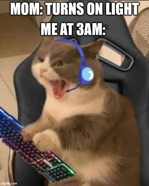 MOM: TURNS ON LIGHT; ME AT 3AM: | image tagged in gaming | made w/ Imgflip meme maker