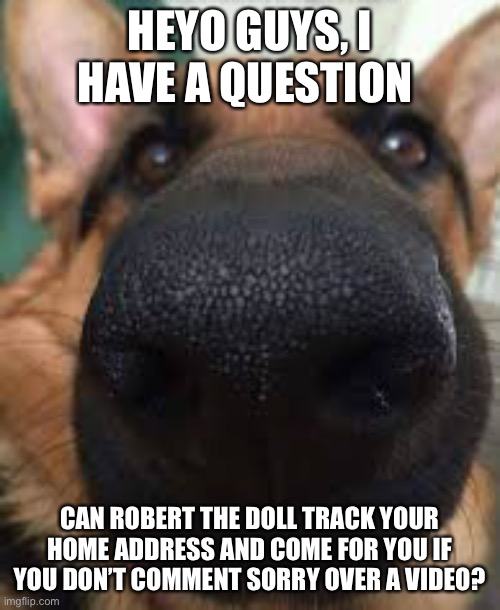 I sound like a 5 yr old but I’ve seen 5 yr old comments | HEYO GUYS, I HAVE A QUESTION; CAN ROBERT THE DOLL TRACK YOUR HOME ADDRESS AND COME FOR YOU IF YOU DON’T COMMENT SORRY OVER A VIDEO? | image tagged in german shepherd but funni | made w/ Imgflip meme maker