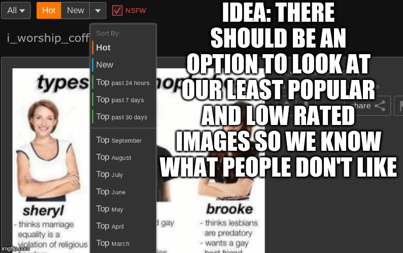 IDEA: THERE SHOULD BE AN OPTION TO LOOK AT OUR LEAST POPULAR AND LOW RATED IMAGES SO WE KNOW WHAT PEOPLE DON'T LIKE | made w/ Imgflip meme maker
