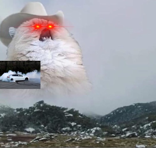 Cat meme | image tagged in country roads cat | made w/ Imgflip meme maker