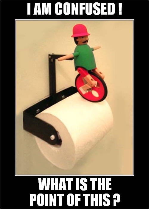 The Toilet Unicyclist ! | I AM CONFUSED ! WHAT IS THE POINT OF THIS ? | image tagged in weird,toilet paper | made w/ Imgflip meme maker