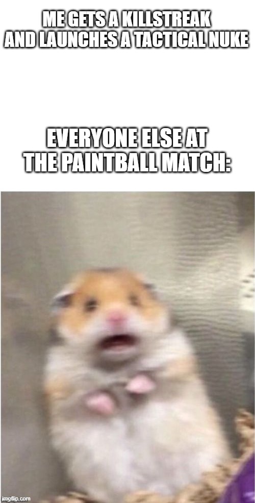  ME GETS A KILLSTREAK AND LAUNCHES A TACTICAL NUKE; EVERYONE ELSE AT THE PAINTBALL MATCH: | image tagged in blank white template,scared hamster | made w/ Imgflip meme maker
