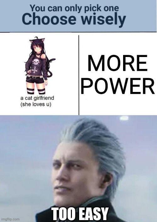 Wonder if Vergil actually likes cats? | MORE POWER; TOO EASY | image tagged in choose wisely,blue katana motivation man | made w/ Imgflip meme maker