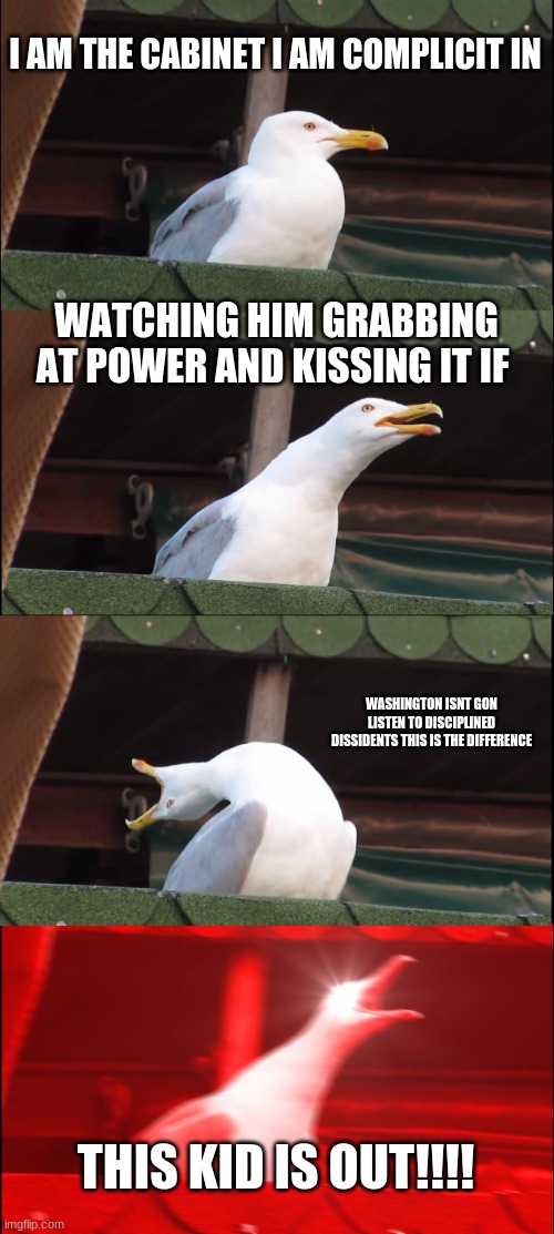 theater kids vibing to hamilton: | I AM THE CABINET I AM COMPLICIT IN; WATCHING HIM GRABBING AT POWER AND KISSING IT IF; WASHINGTON ISNT GON LISTEN TO DISCIPLINED DISSIDENTS THIS IS THE DIFFERENCE; THIS KID IS OUT!!!! | image tagged in memes,inhaling seagull | made w/ Imgflip meme maker