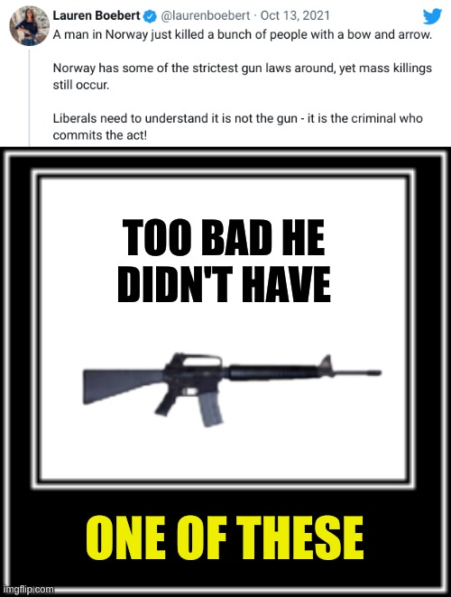 gun lives matter | TOO BAD HE
DIDN'T HAVE; ONE OF THESE | image tagged in what how,lauren boebert,conservative logic,assault weapons,islamic terrorism,bow and arrow | made w/ Imgflip meme maker