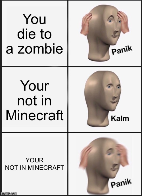 Zumbie | You die to a zombie; Your not in Minecraft; YOUR NOT IN MINECRAFT | image tagged in memes,panik kalm panik | made w/ Imgflip meme maker