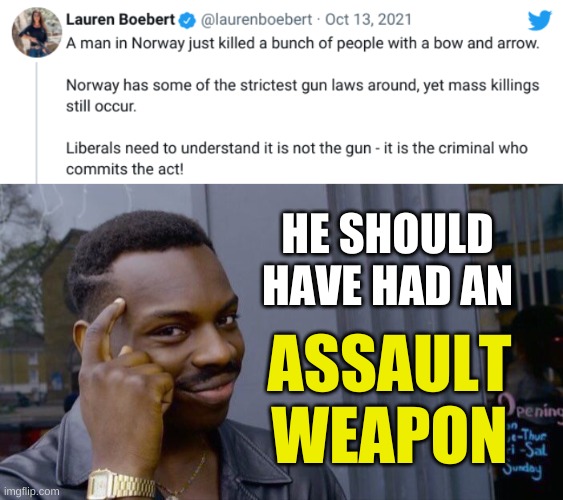 lauren boebert logic | HE SHOULD HAVE HAD AN; ASSAULT
WEAPON | image tagged in memes,roll safe think about it,conservative logic,terrorism,bow and arrow,gun control | made w/ Imgflip meme maker