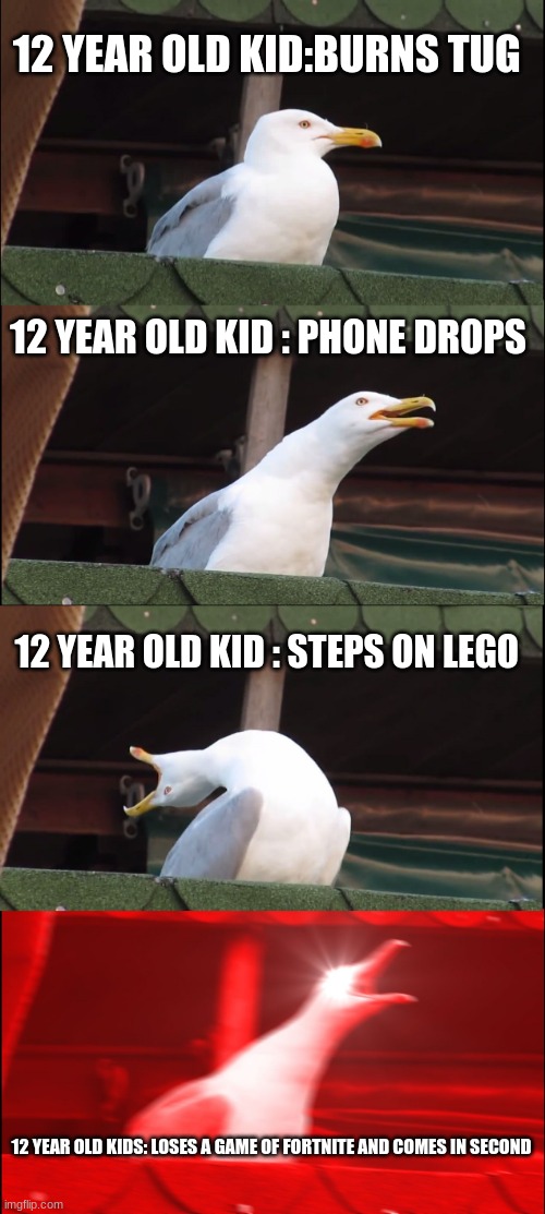 Inhaling Seagull | 12 YEAR OLD KID:BURNS TUG; 12 YEAR OLD KID : PHONE DROPS; 12 YEAR OLD KID : STEPS ON LEGO; 12 YEAR OLD KIDS: LOSES A GAME OF FORTNITE AND COMES IN SECOND | image tagged in memes,inhaling seagull | made w/ Imgflip meme maker