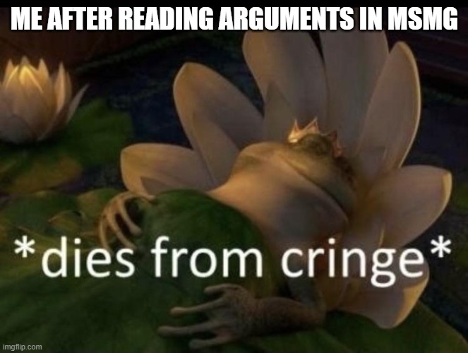 if you don't believe me go read some for yourself, some are really cringe | ME AFTER READING ARGUMENTS IN MSMG | image tagged in dies from cringe,msmg | made w/ Imgflip meme maker