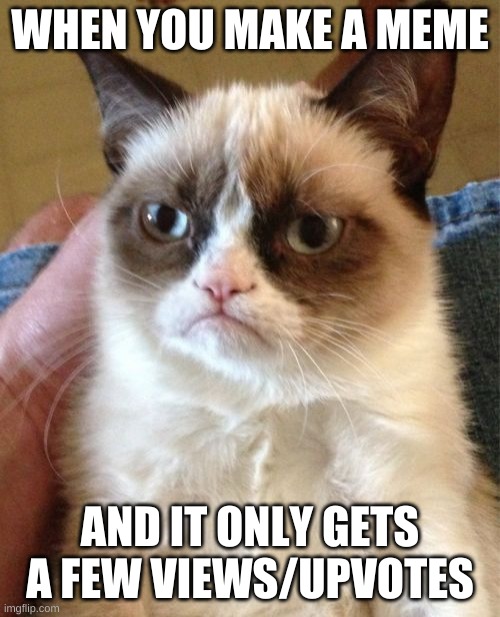 new imgflip users | WHEN YOU MAKE A MEME; AND IT ONLY GETS A FEW VIEWS/UPVOTES | image tagged in memes,grumpy cat | made w/ Imgflip meme maker